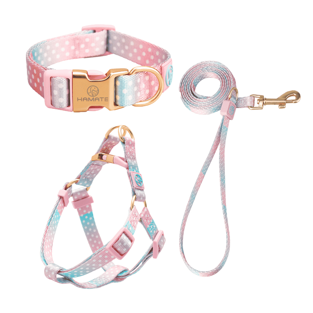 Pink and Blue Dots Harness, Lead and Collar
