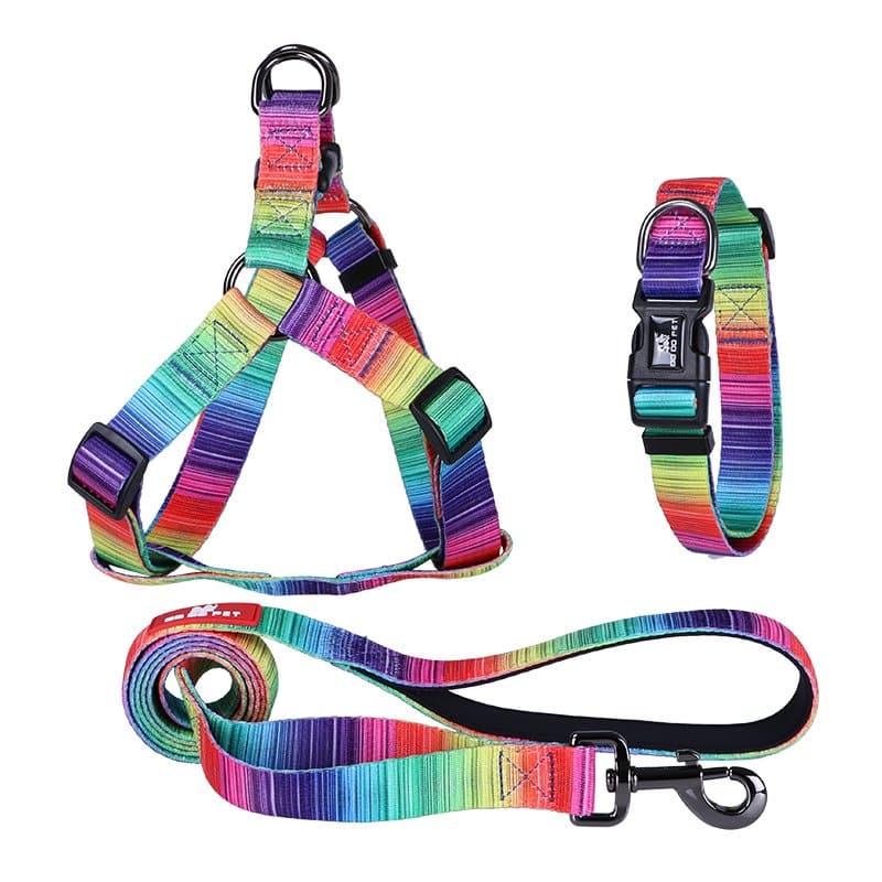 Pet Lead, Harness & Collar - Rainbow