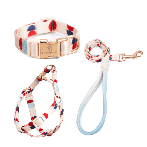 Red and Blue Polka Dots Harness, Lead, and Collar