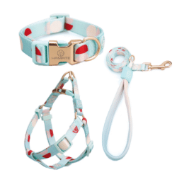 Red and White Polka Dots Harness, Lead, and Collar