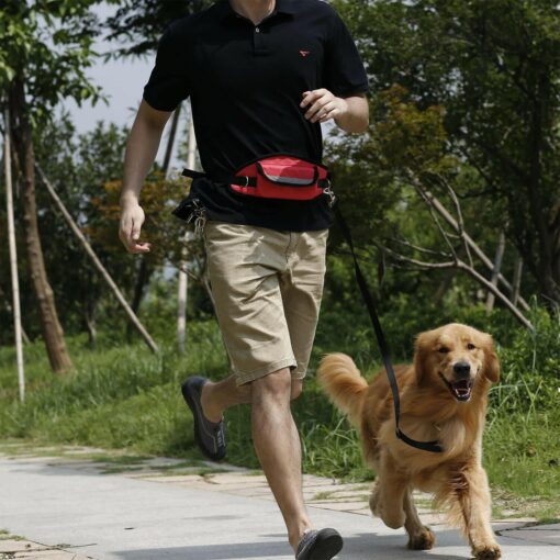 Hands-Free Dog Walking Bum Bag