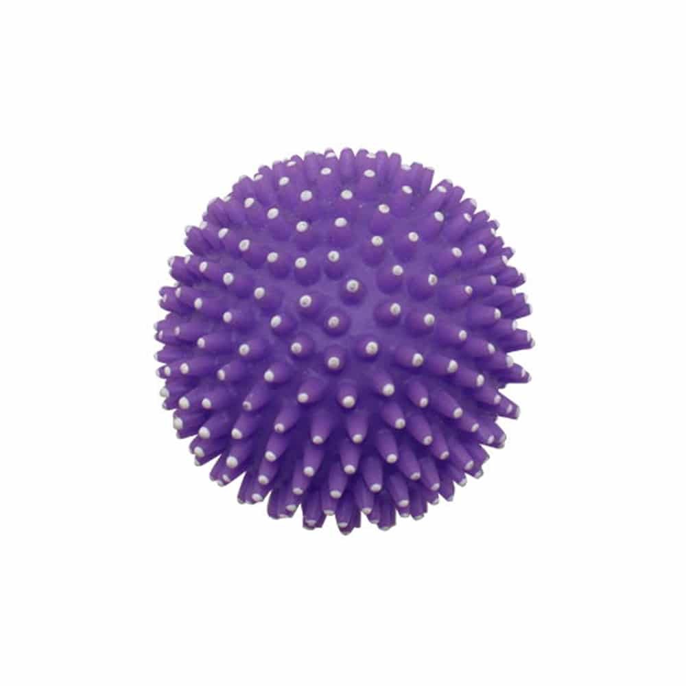 Hedgehog Ball Pet Toy