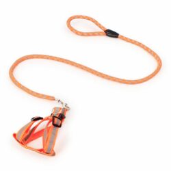 Reflective Safety Harness and Lead Set