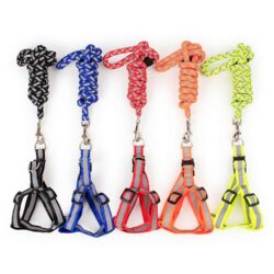 Reflective Safety Harness and Lead Set