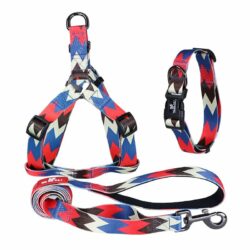 Pet Lead, Harness & Collar - ZigZag