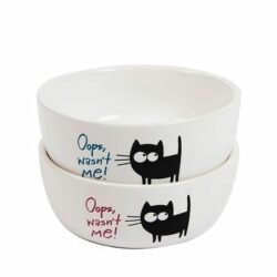 Ceramic Pet Bowl for Cat - "Oops Wasn't Me"