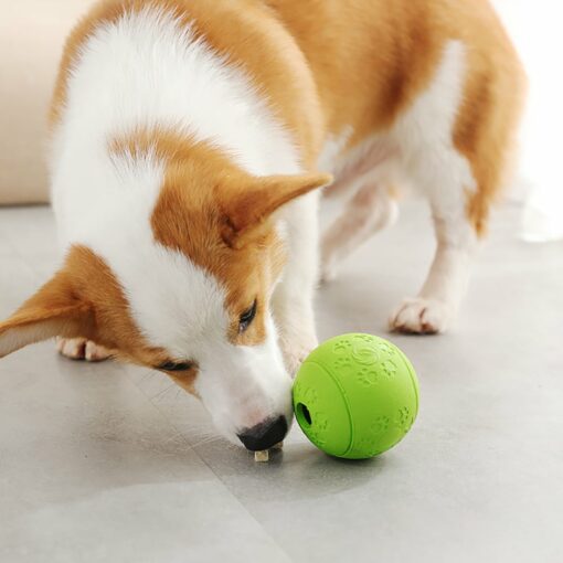 Rubber Snack Ball