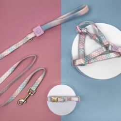 Pink and Blue Dots Harness, Lead and Collar
