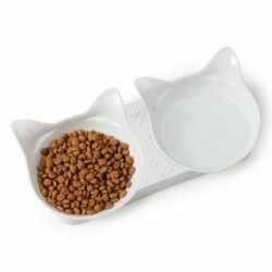 Double Food & Water ABS Bowls – Cat Design