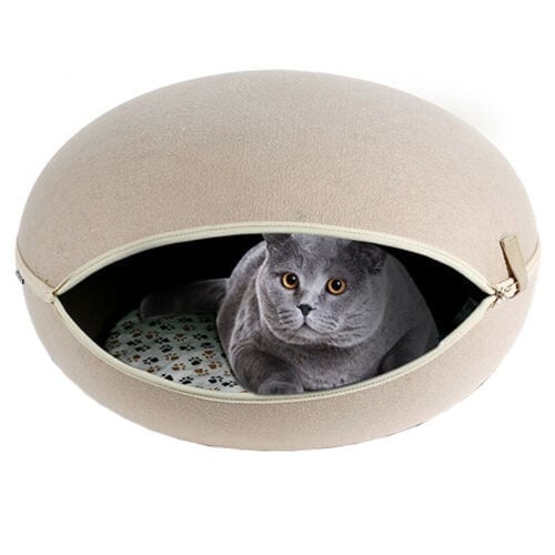 Cushion House Soft Shell Cat Bed