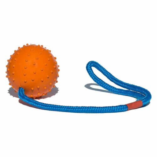 Ball On A Rope Pet Toy