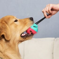 Squeaky Food Treat Dispenser Ball and Rope Toy