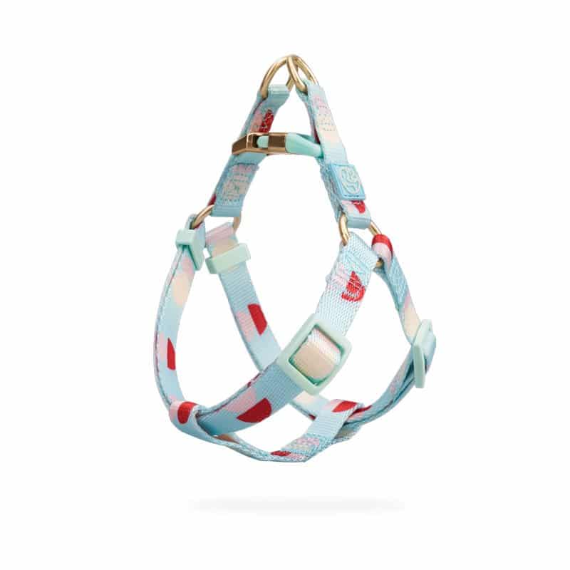 Red and White Polka Dots Harness, Lead, and Collar