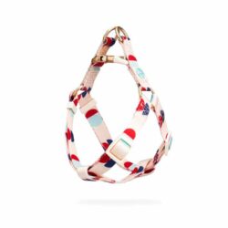 Red and Blue Polka Dots Harness, Lead, and Collar