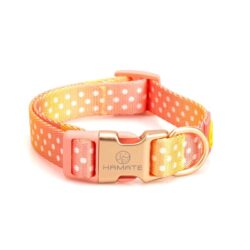 Pink Dots Harness, Lead, and Collar