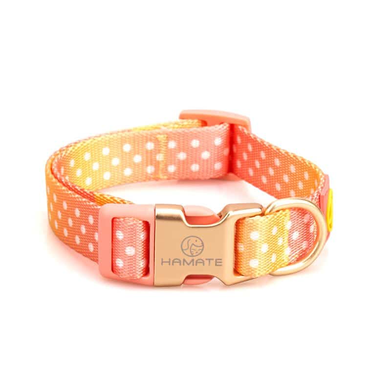 Pink Dots Harness, Lead, and Collar