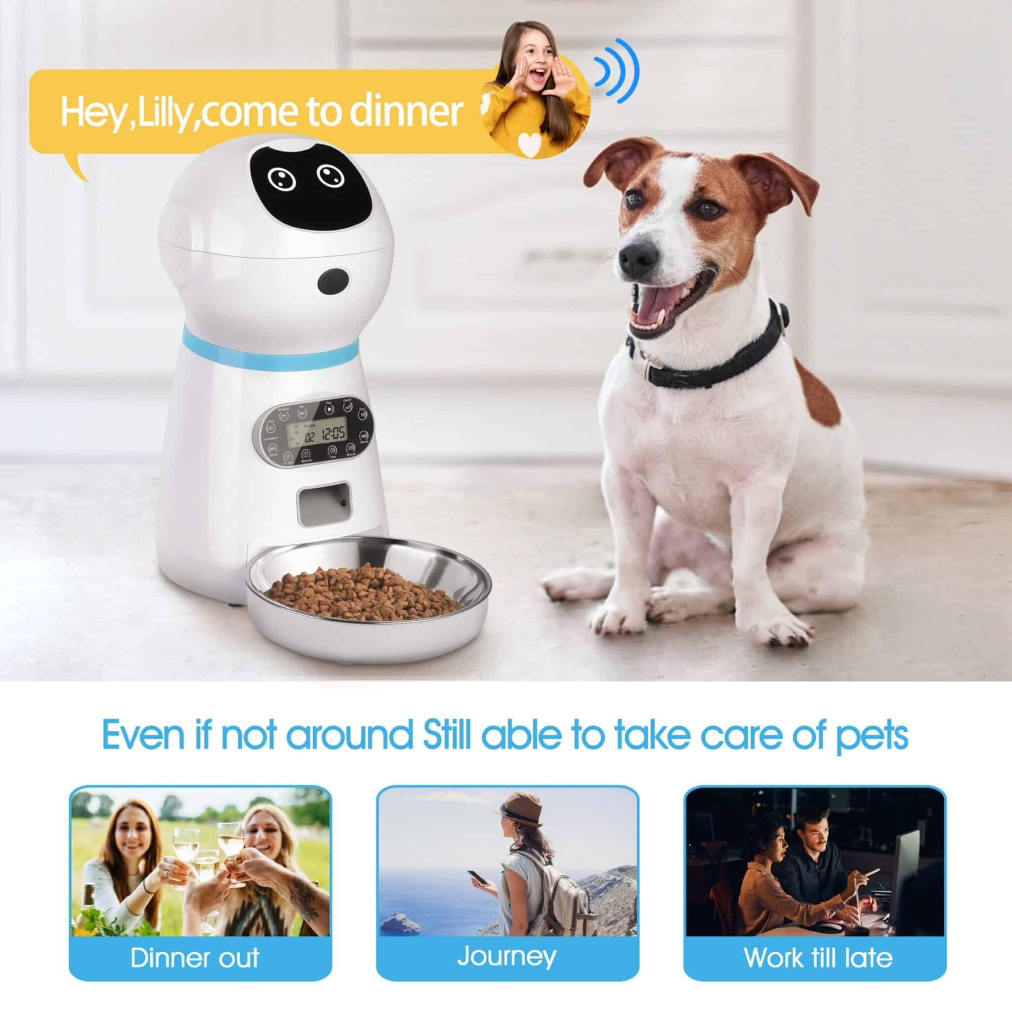 Dog Automatic Feeder with Voice Record & LCD Screen