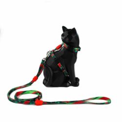 Cat Watermelon Harness, Lead, and Collar