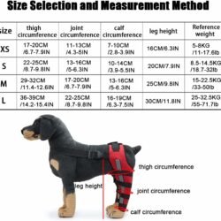 Dog Hind Full Legs Support - pawsandtails.pet