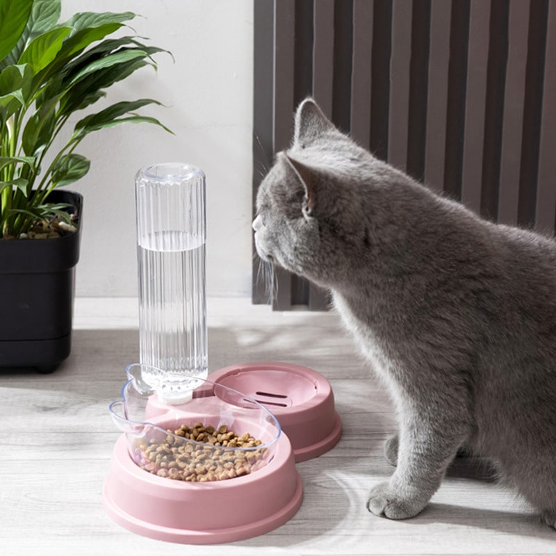 Bear Twin Bowl with Gravity Water feeder - pawsandtails.pet