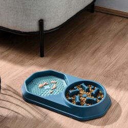 Slow Feeder Twin Bowl - pawsandtails.pet