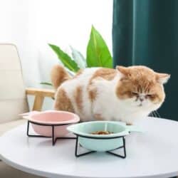 Fish Shaped Pet Bowl with Metal Stand - pawsandtails.pet