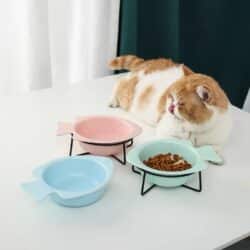 Fish Shaped Pet Bowl with Metal Stand - pawsandtails.pet