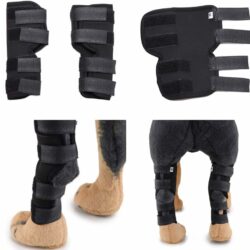 Dog Front Legs Support - pawsandtails.pet