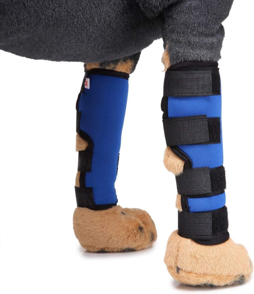 Dog Front Legs Support - pawsandtails.pet