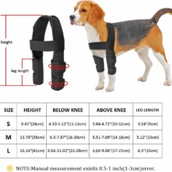 Dog Front Legs Support Strap - pawsandtails.pet