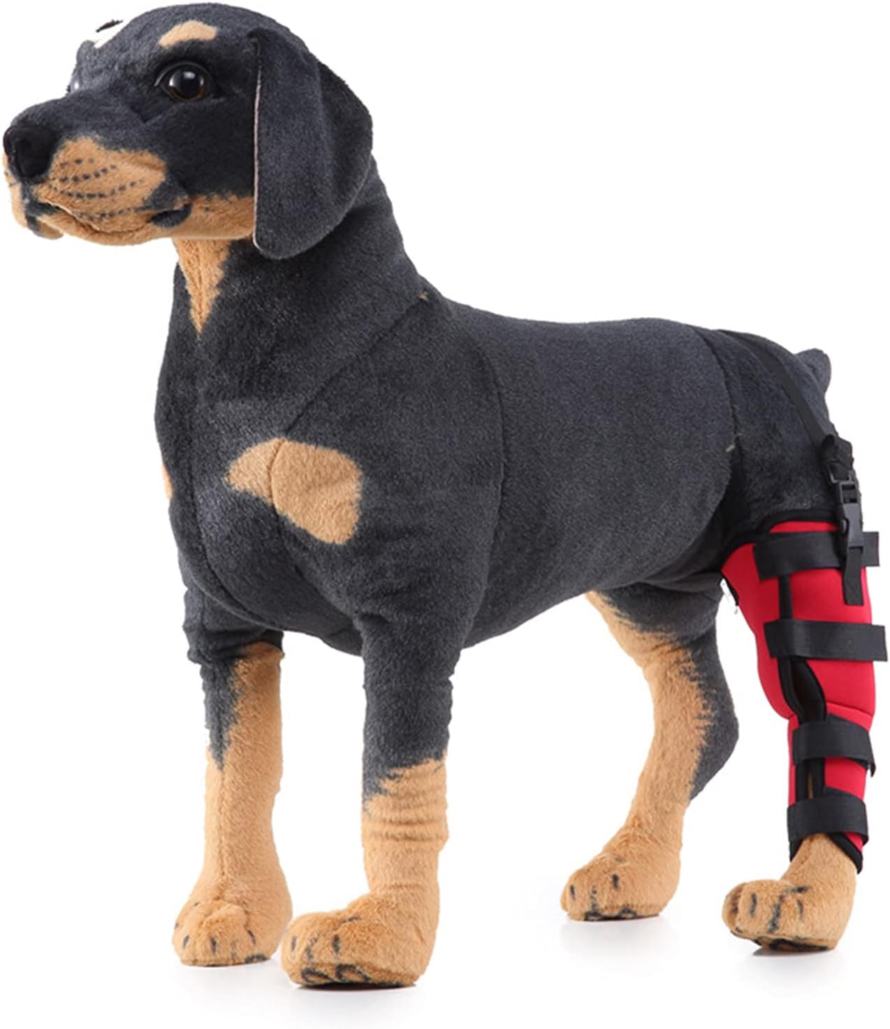 Dog Hind Legs Support - pawsandtails.pet