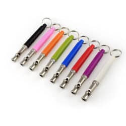 Pet Whistle with Lanyard - pawsandtails.pet